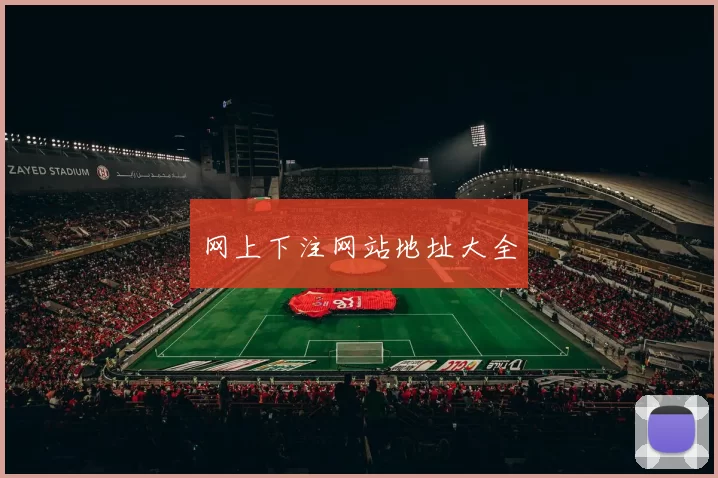 网上下注网站地址大全