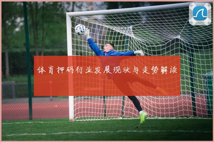 体育押码行业发展现状与走势解读