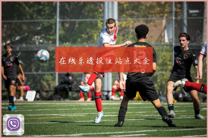 在线乐透投注站点大全