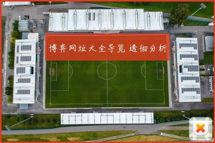 博弈网址大全导览 透彻分析