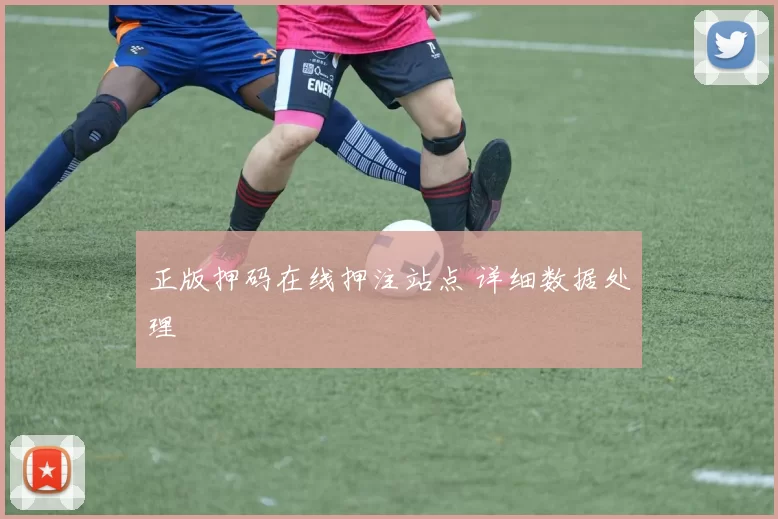 正版押码在线押注站点 详细数据处理