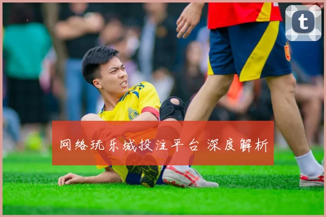 网络玩乐城投注平台 深度解析