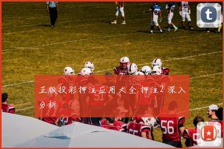 正版投彩押注应用大全 押注2 深入分析