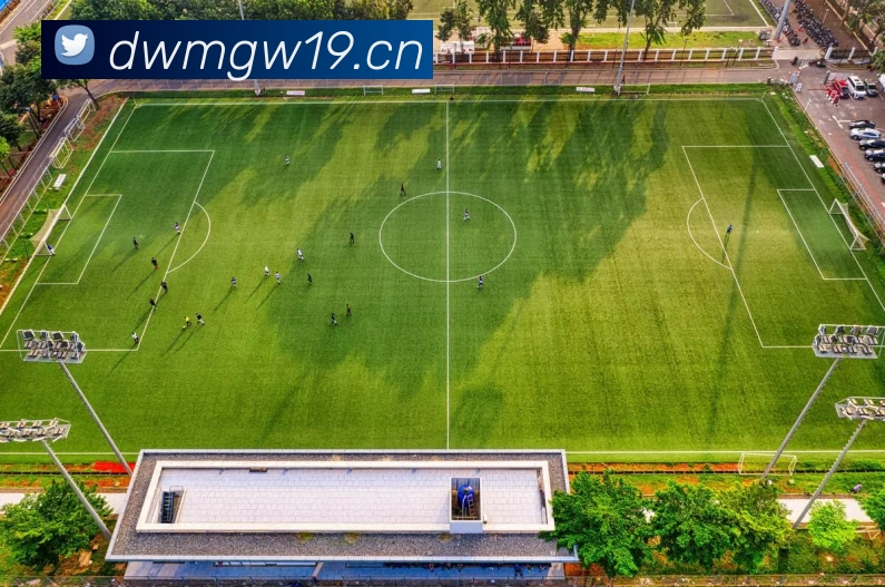 天博体育APP 封面图